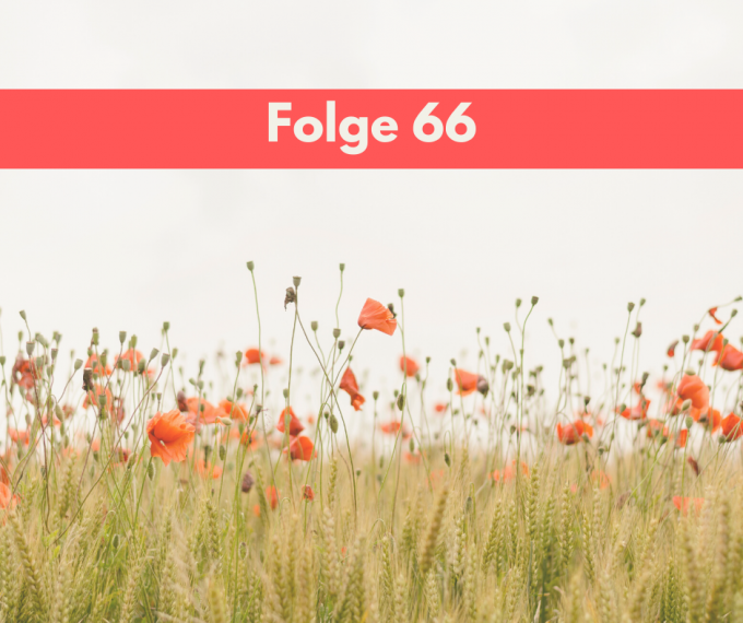Folge 66 - stress-ausserhalb-deines-einflussbereichs