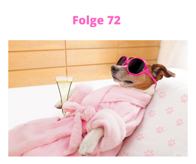 Folge-72-cool-bleiben-zahlt-sich-aus